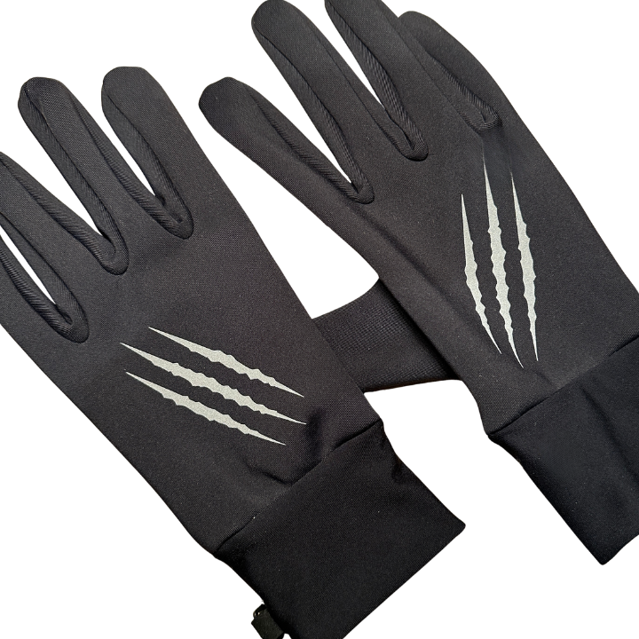 Handschoenen